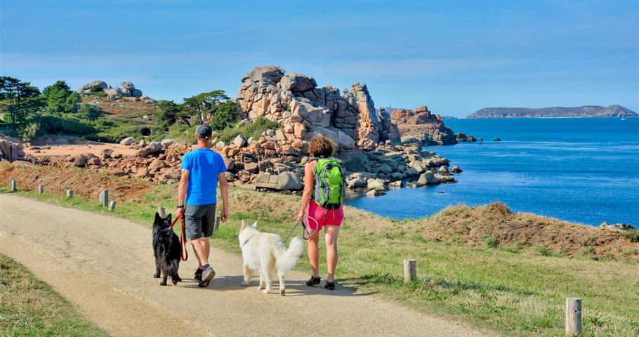 Location de vacances Côtes-d'Armor animaux acceptés