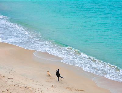 Location de vacances Côtes-d'Armor animaux acceptés