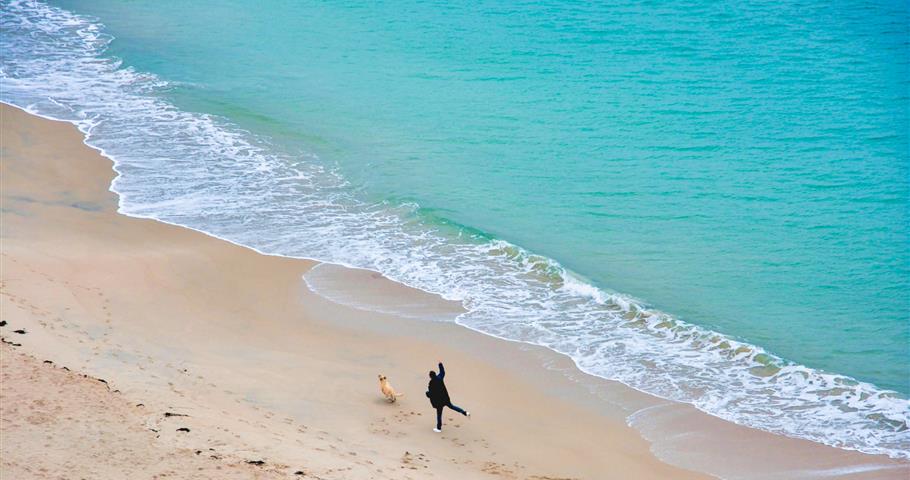 Location de vacances Côtes-d'Armor animaux acceptés