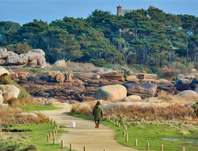 Location de vacances Côtes-d'Armor animaux acceptés