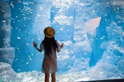 Aquarium Tregastel 3 aquarium 4
