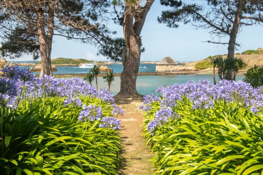 ile brehat 3
