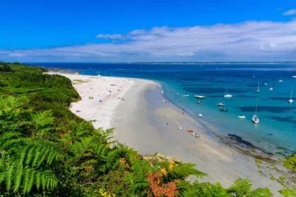 ile grande 2