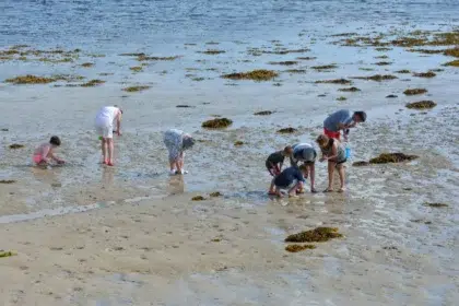 Beach Fishing in the Côtes d'Armor 3 peche 2