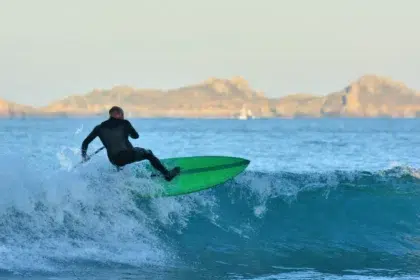 Surfen 3 surf perros 1